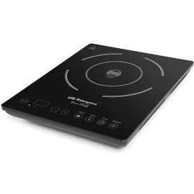 PLACA INDUÇÃO ORBEGOZO - PIC2000